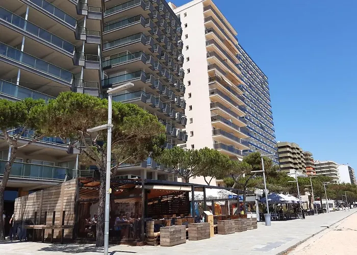 Vistas Mar Primera Linea Playa * 普拉加德阿罗